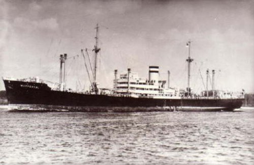 Noordam